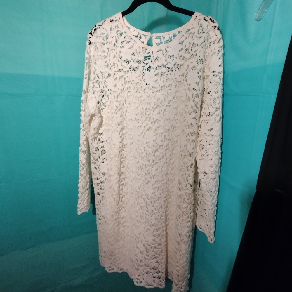 Chic Lace Long Sleeve Dress in Cream